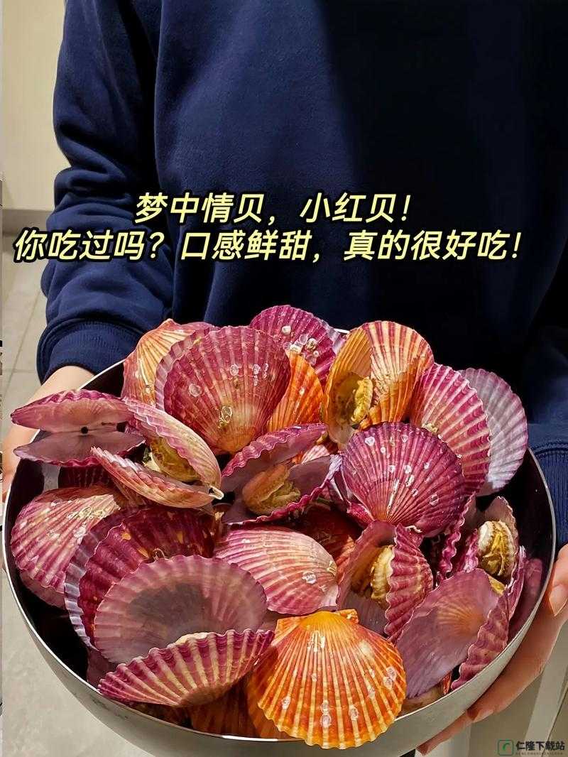 这是我的小扇贝：好看吗