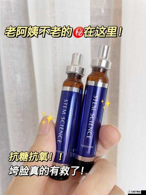 暴躁老阿姨最强武器推荐：实用利器大揭秘