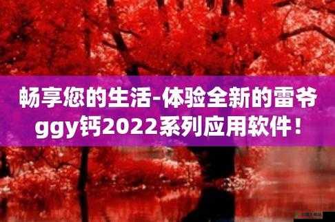 2022Cgy 钙同登录入口：畅享精彩内容