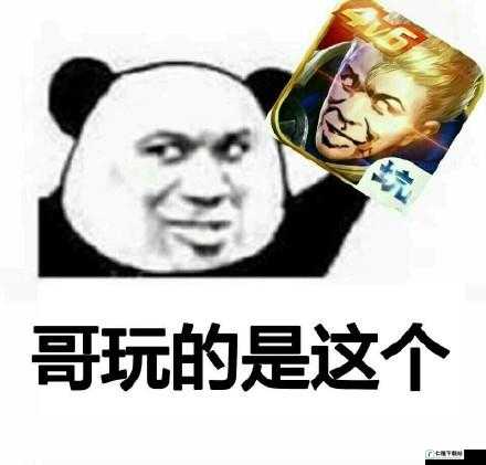 王者：这是什么鬼？