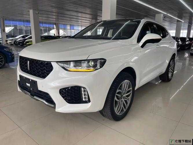 weyvv5 国产 SUV 精彩视频呈现