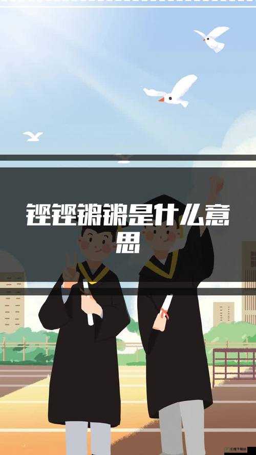 铿锵锵锵锵免费观看网页版：精彩内容等你来