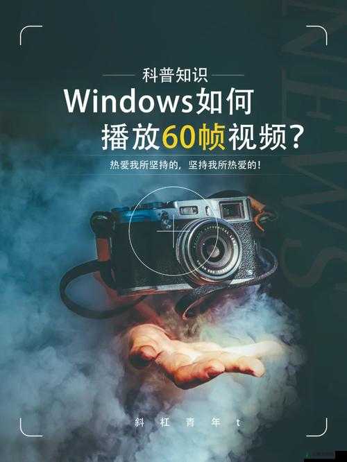 中国高清 windows 视频软件画质之谜究竟如何