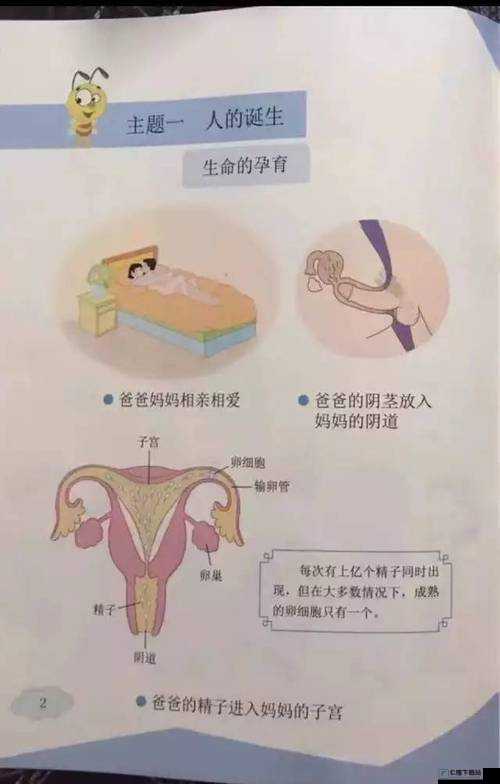 男生女生一起：探索两性关系的奥秘