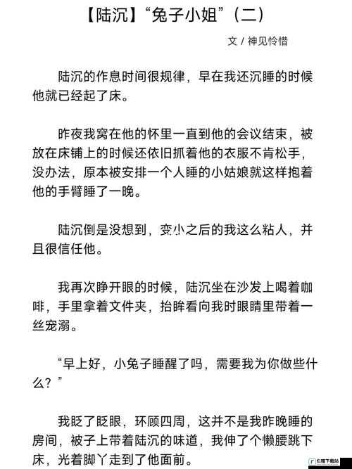 陆沉小兔子小说彩蛋：禁忌之爱