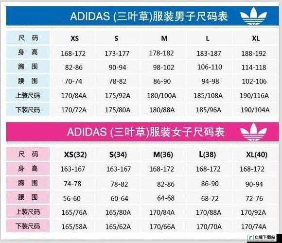 三叶草M码与欧洲码的详细区别解析-深度剖析