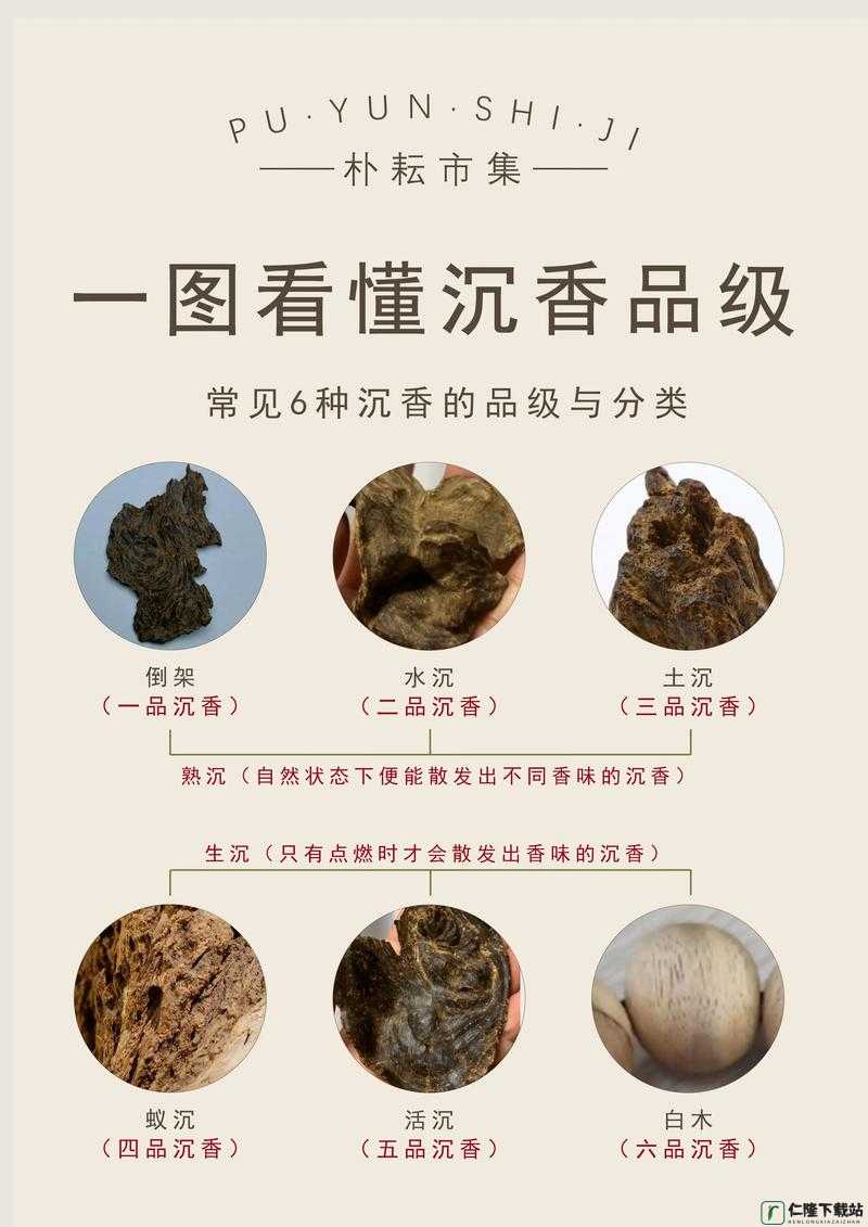 沉香一线产区的特点与价值