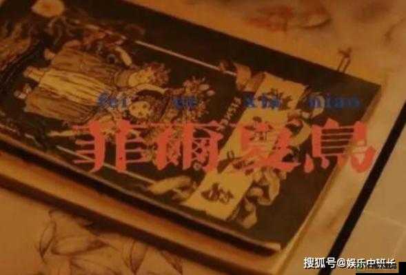 黑白配在线观看完整版：揭秘神秘游戏背后的真相