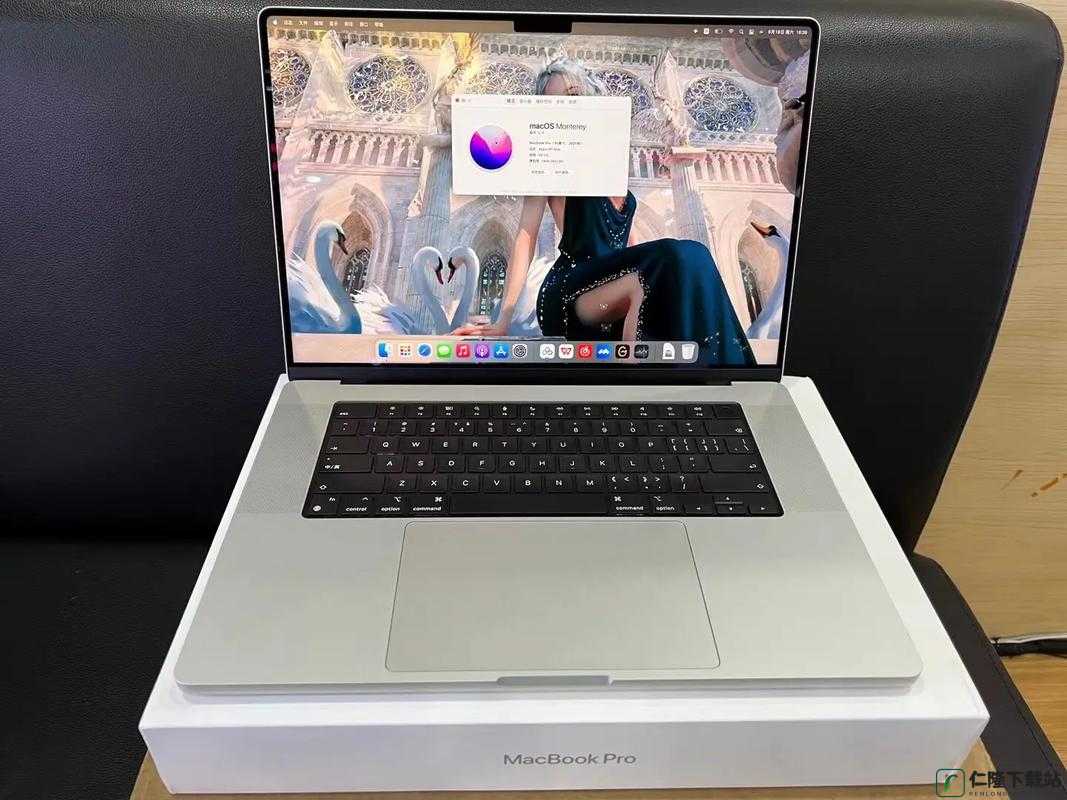 16 岁 macbookpro 日本成功发布新栏目：意义重大