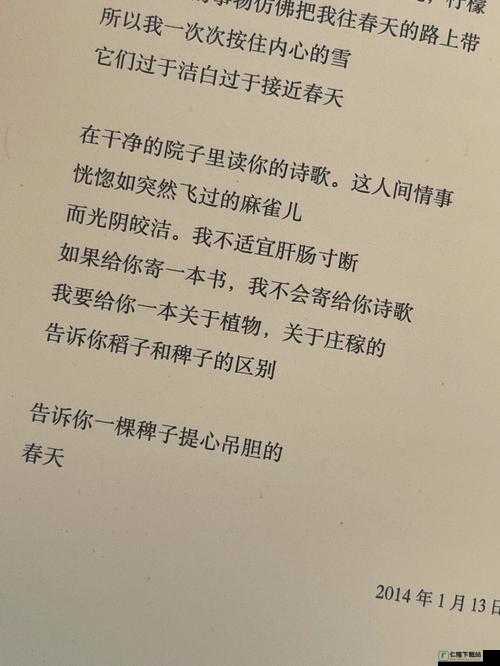 抵押朋友的麦子：背后的无奈与选择