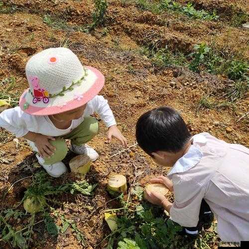 小孩半夜喂姐姐吃萝卜是否合适