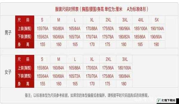 日本 L 码和中国码的区别：解析与对比