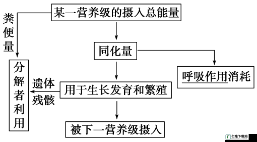 丰年经继拇 4 机能量发展新方向