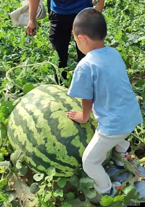 今日吃瓜：热门大瓜反差超震撼