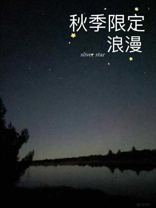 别错过星空无痕 MV 免费观看：浪漫星空，不容错过