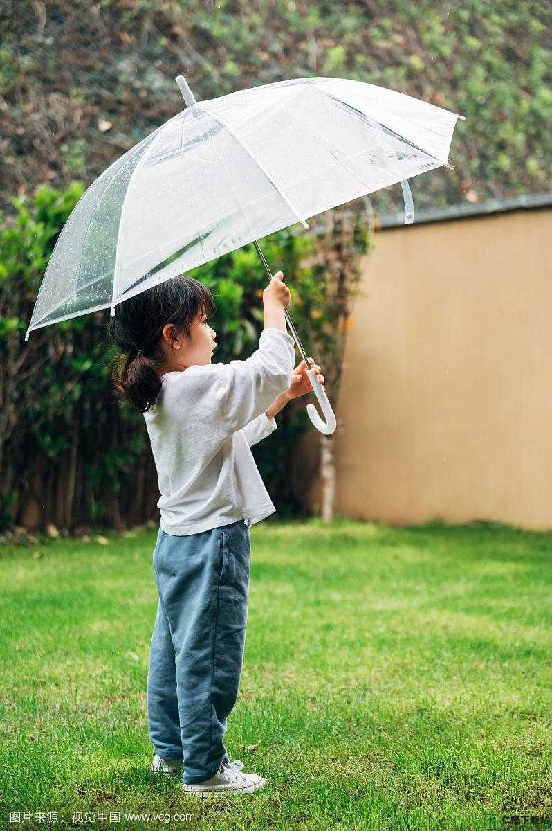 在野外小雨伞拔萝卜是否可行？