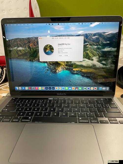 1819 岁 macbookpro 日本：青春的科技选择