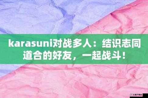 Karasuni 对战多人精彩对决