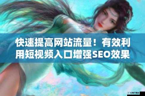 SEO 短视频网页入口网站推广：轻松获取流量