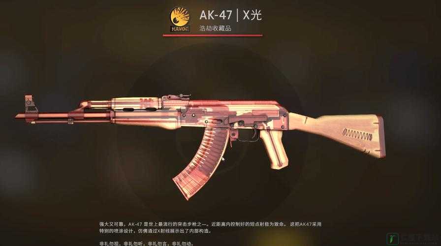 日本CSGO 大姐姐 AWP 价格多少钱- 最新市场分析