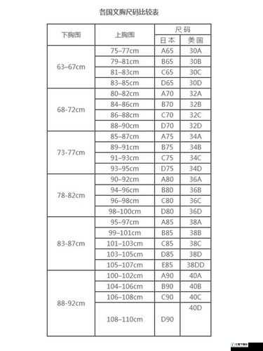 日本尺码与亚洲尺码区别：深度剖析与对比