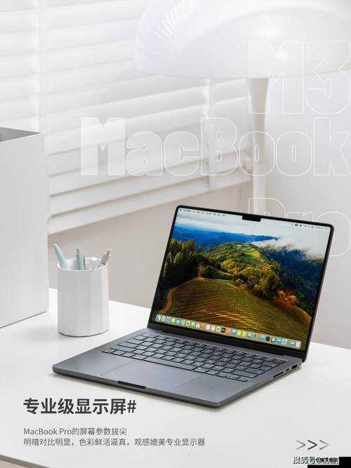 中国 MacBookPro 高清在线：相关介绍