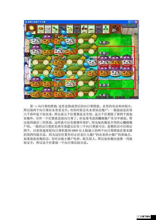 植物大战僵尸无尽版终极阵型攻略：最佳布局图解与策略分享