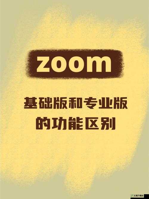 Zoom 与动物 Zoom 最新版本：功能介绍