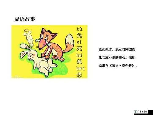 疯狂猜成语：狐狸与兔子的神秘答案揭晓，成语奥秘大解密