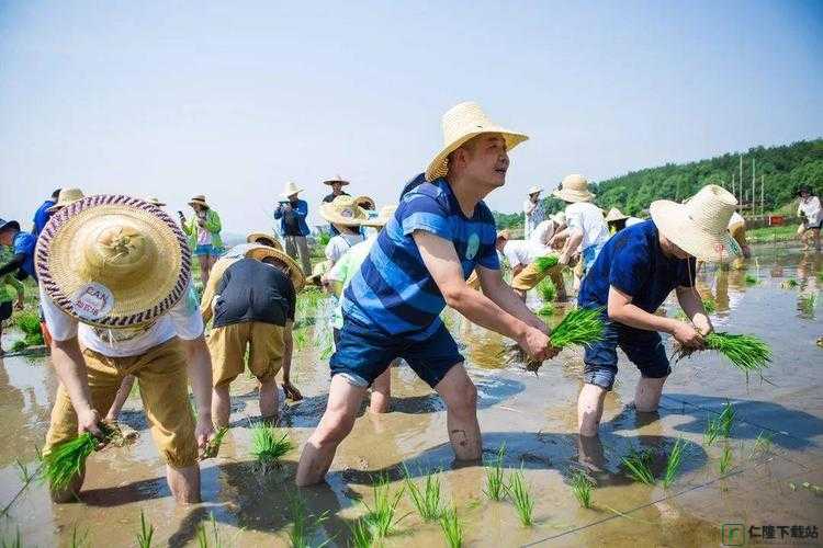 儿子代母耕作：土地的传承与责任