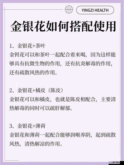 双管齐下金银花的独特功效与作用