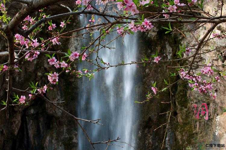 桃花洞口：探寻溪水潺潺的奥秘