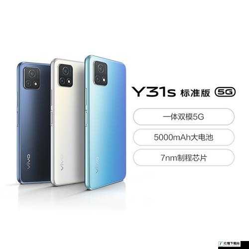 成色好的 y31s 标准版官网翻新太慢了：用户吐槽