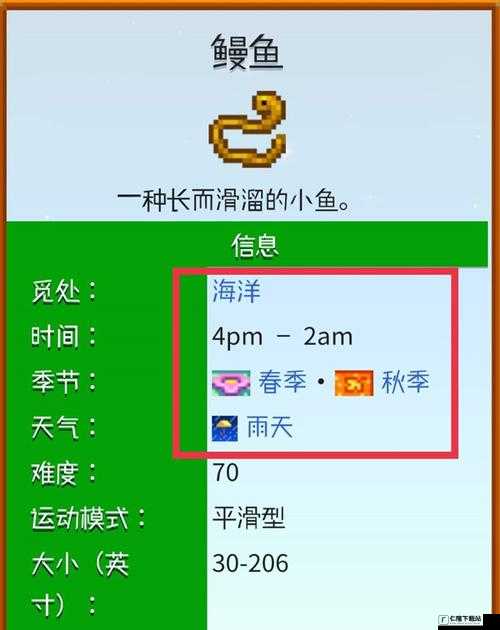 星露谷物语鳗鱼获取攻略：鳗鱼具体位置全知晓