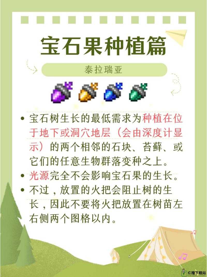 泰拉瑞亚宝石树种植方法详解