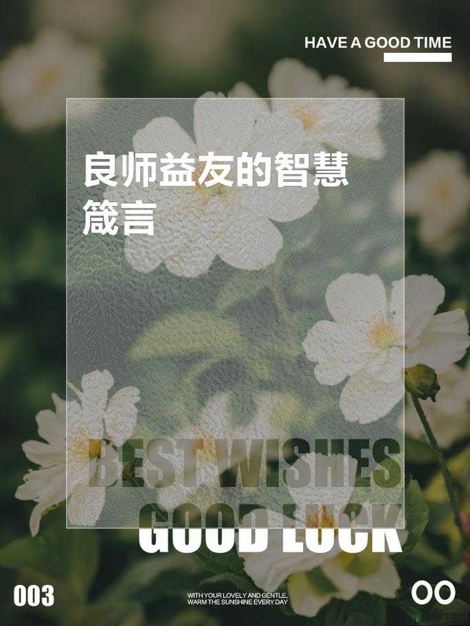 老师的句号里，藏着无尽的智慧和关怀