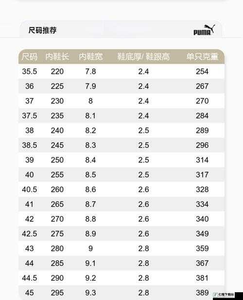 欧洲尺码日本尺码专线：全新黑马引领新潮流