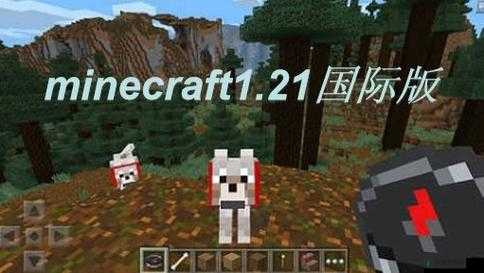 老外畅玩中国版 Minecraft