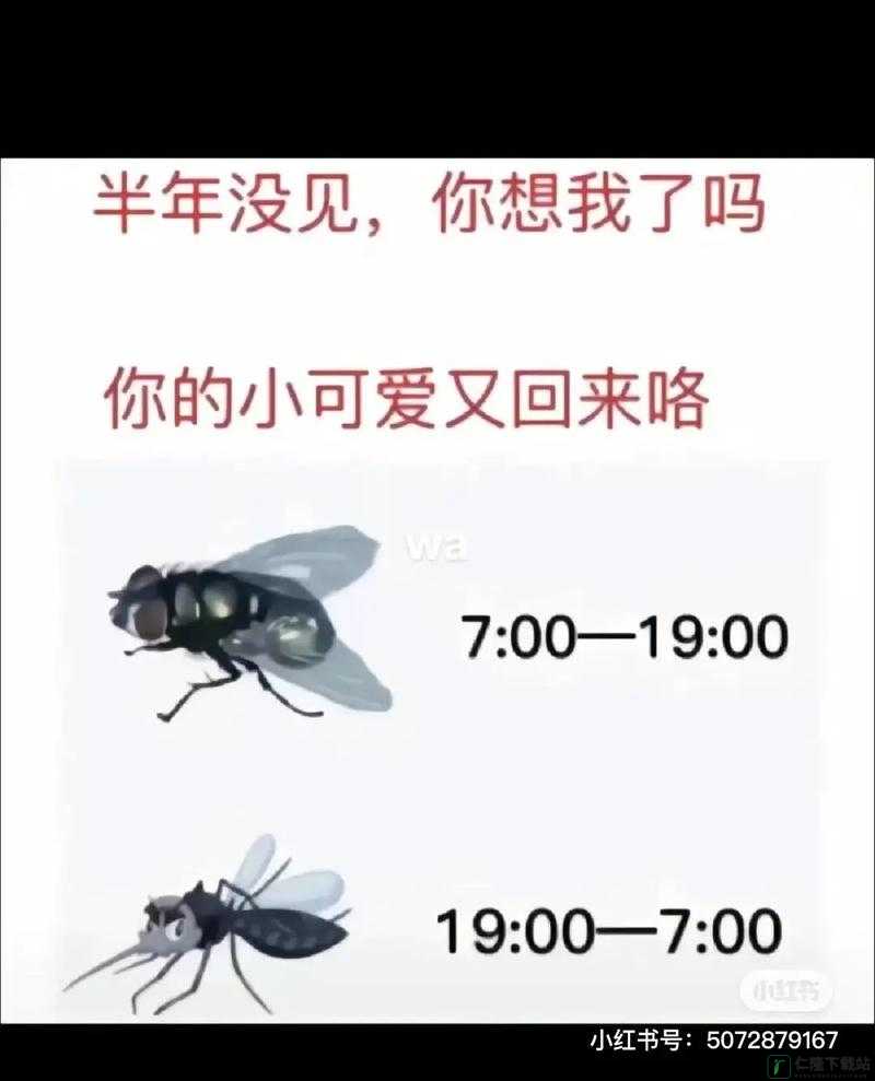 粉丝自制梗图：欢乐源泉大集合