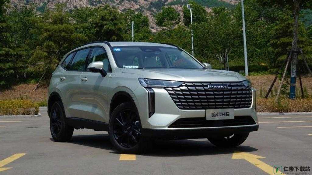 国产 suv 精二区 69：一款出色的车型