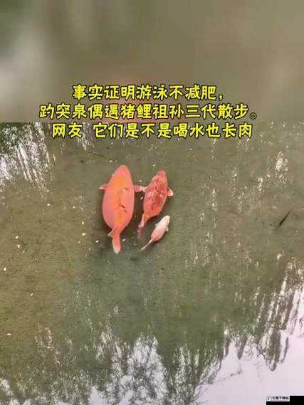 女人鲤鱼喝水图解大全之详细解析